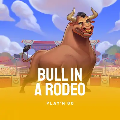 Bull in a Rodeo