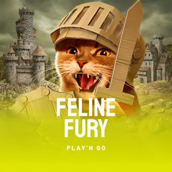 Feline Fury