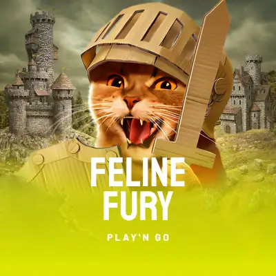 Feline Fury