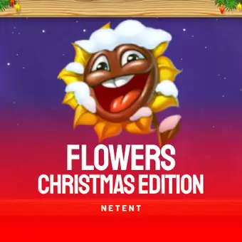 Flowers Christmas Edition