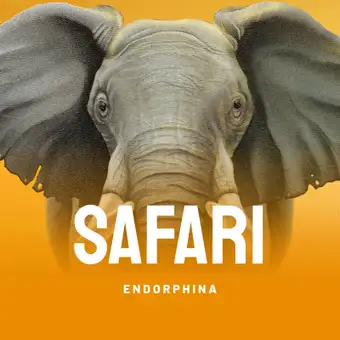 Safari