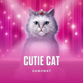 Cutie Cat