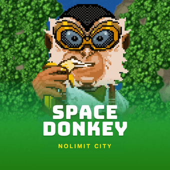 Space Donkey